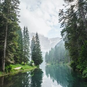 Restoration of Healing