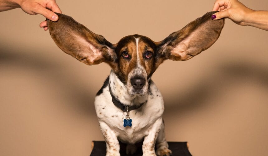 Have Ears to Hear