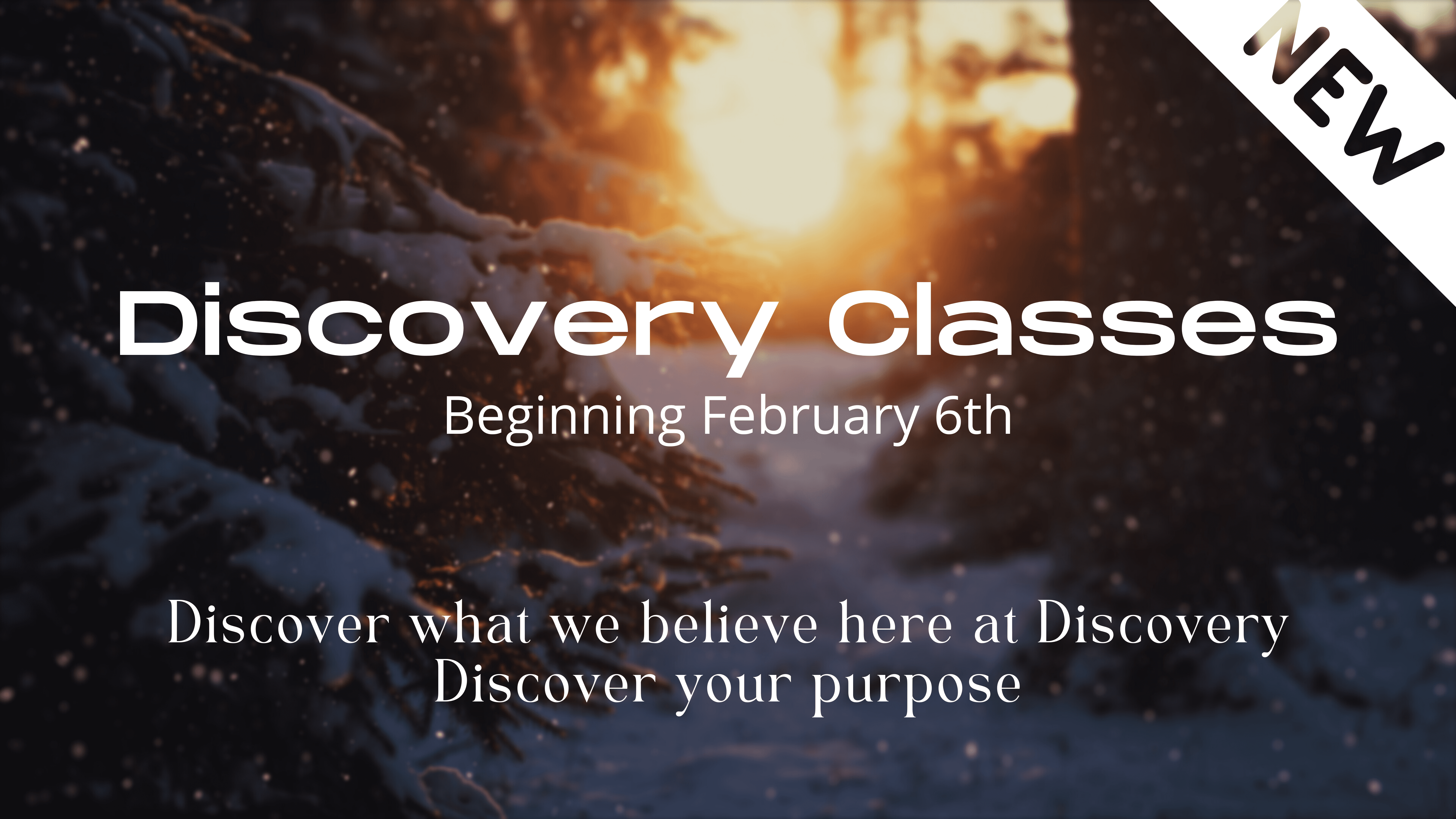 Discovery Classes
